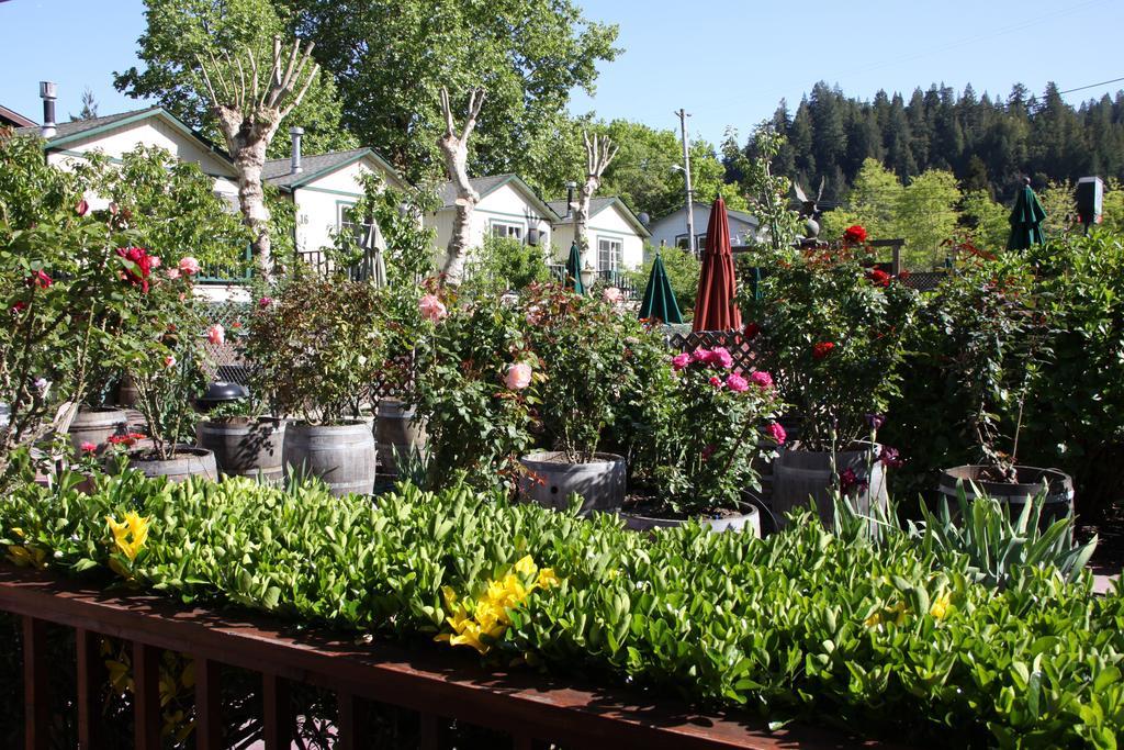 The Woods Hotel - Gay Lgbtq Cabins Guerneville Bagian luar foto