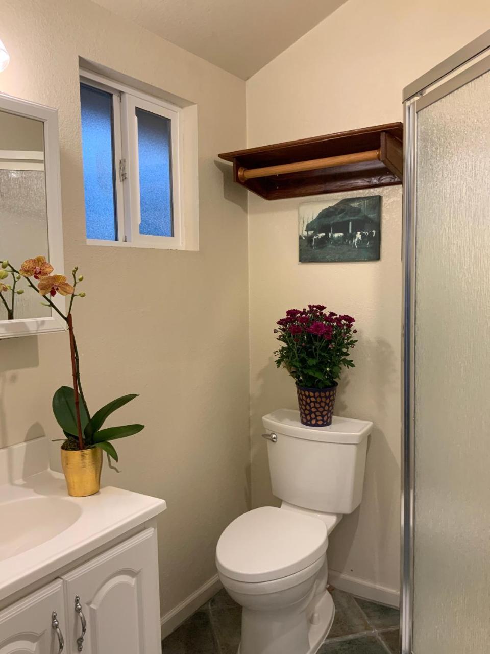 The Woods Hotel - Gay Lgbtq Cabins Guerneville Bagian luar foto